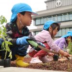 40_04hagukumu_0419_01-02