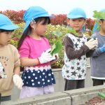 40_04hagukumu_0419_05_02