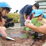 40_04hagukumu_0419_06_02
