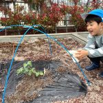 40_04hagukumu_0419_07