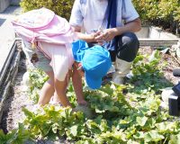 trial40_30tomioka20240809-photo02