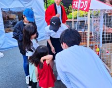 trial41_21_03_yugure20240605_photo15