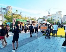 trial41_21_03_yugure20240605_photo28