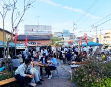 trial41_21_03_yugure20240605_photo45