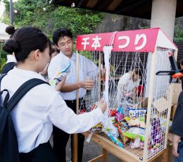 trial41_21_03_yugure20240703_photo13