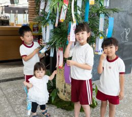 trial41_21_03_yugure20240703_photo18