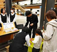 trial41_21_03_yugure20241106_photo10
