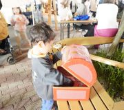 trial41_21_03_yugure20241106_photo17