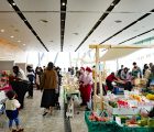 trial41_21_03_yugure20250402_photo02