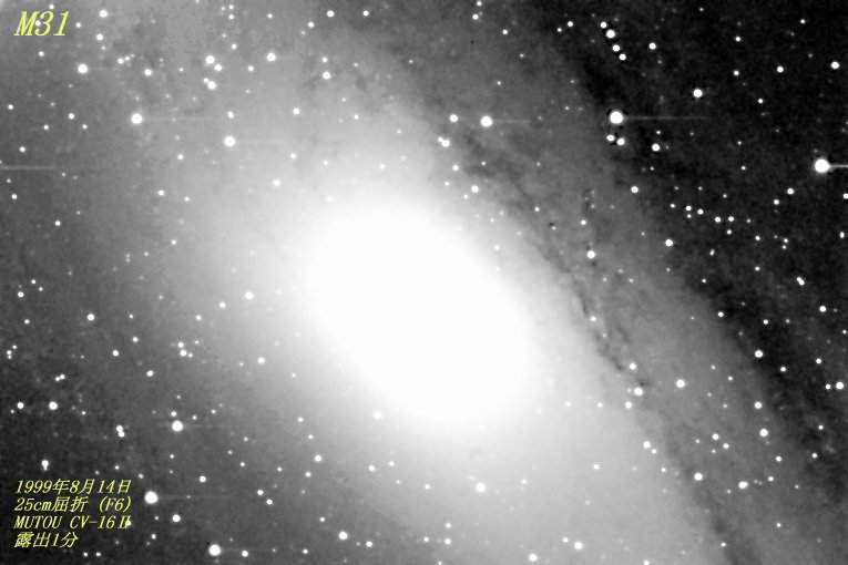 m31