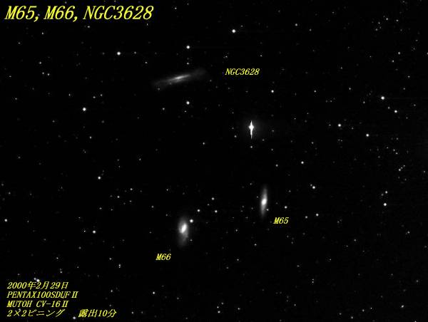 m65,m66,ngc3628